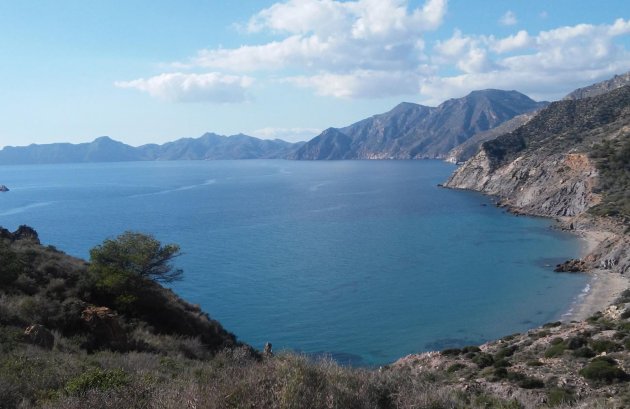 New Build - Villa -
Torre-Pacheco