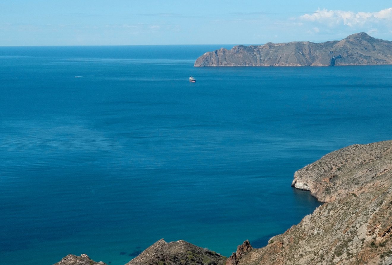 New Build - Villa -
Torre-Pacheco