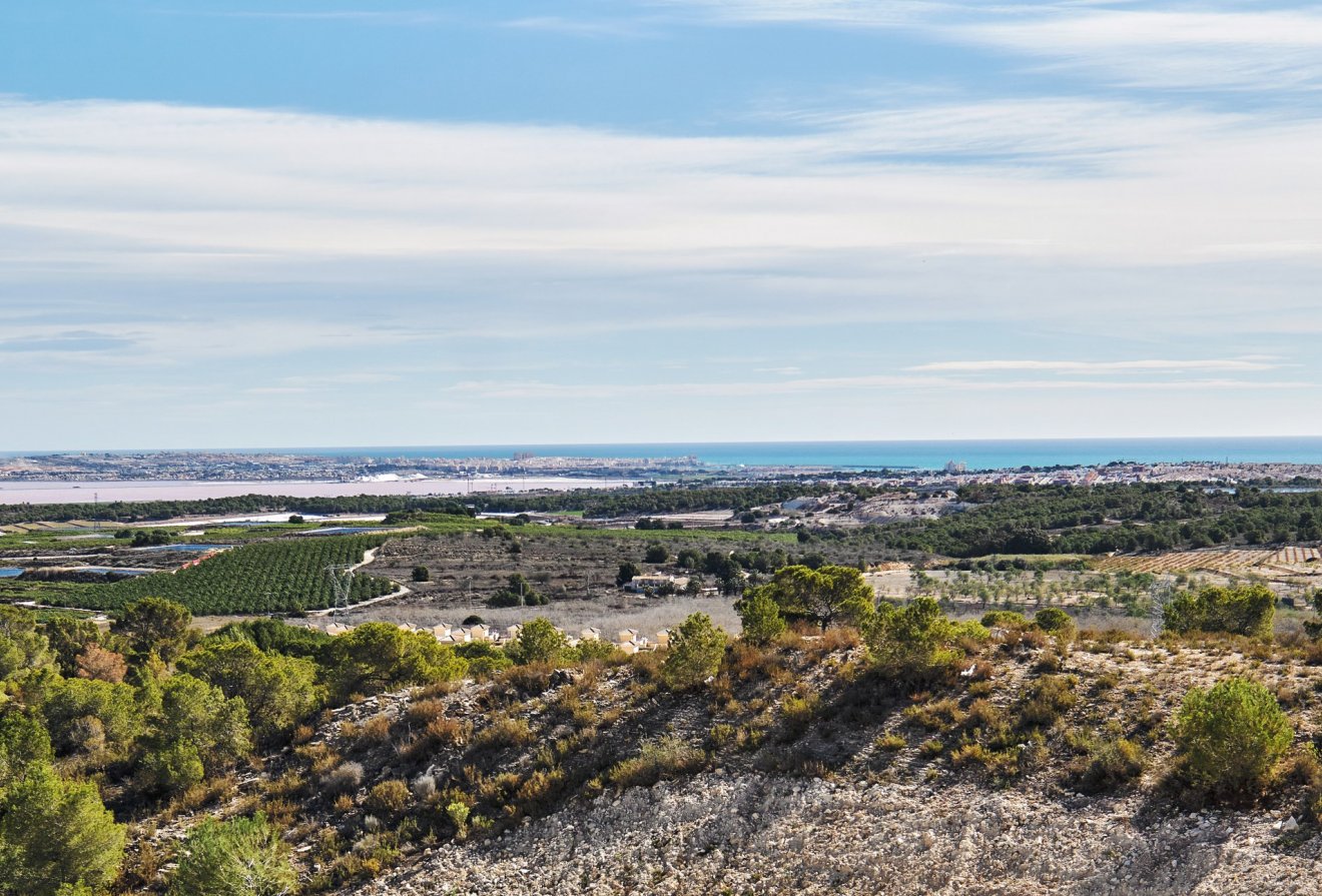 Nieuwbouw  - Villa -
San Miguel de Salinas
