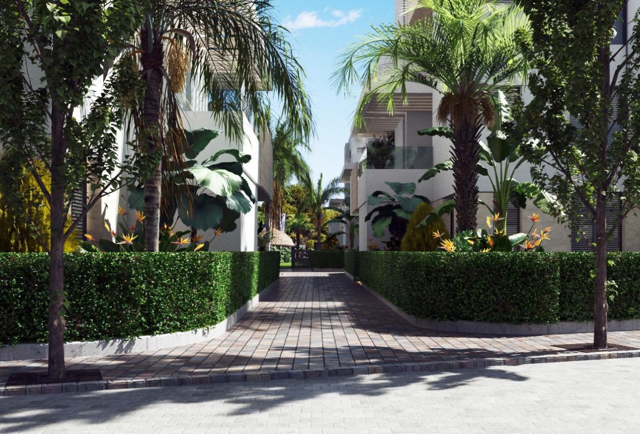 Nieuwbouw  - Appartement -
Torre-Pacheco