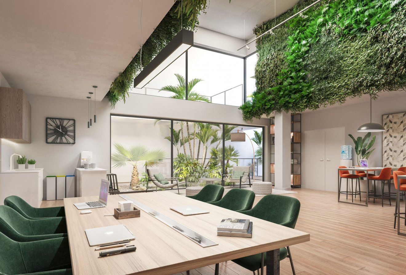 Nieuwbouw - Penthouse -
Buenas Noches