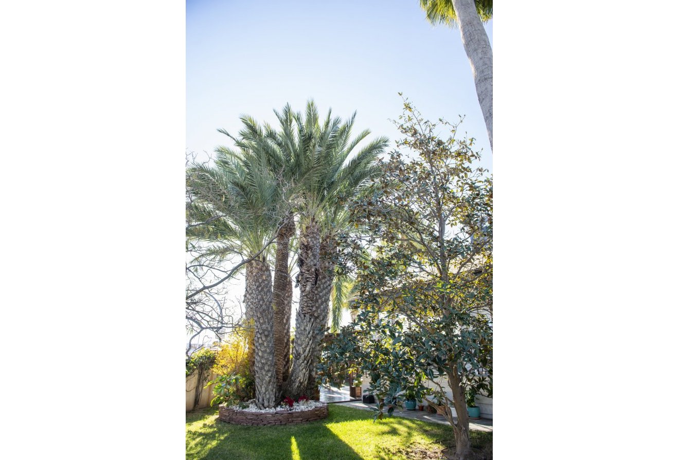 Nieuwbouw  - Villa -
San Pedro del Pinatar