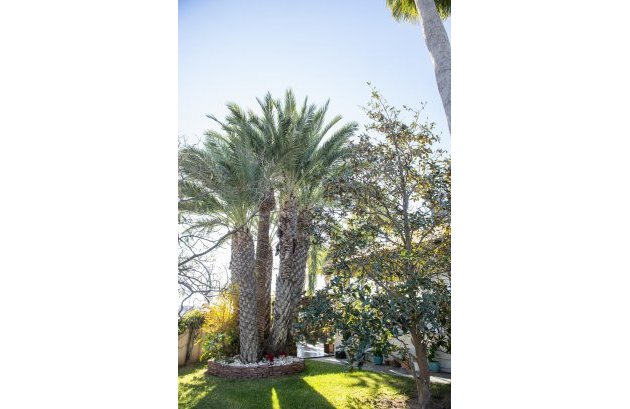 Nieuwbouw  - Villa -
San Pedro del Pinatar