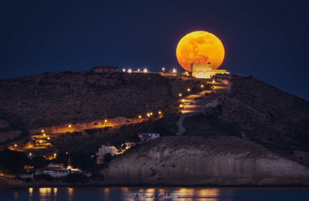 Nieuwbouw  - Villa -
Pulpí