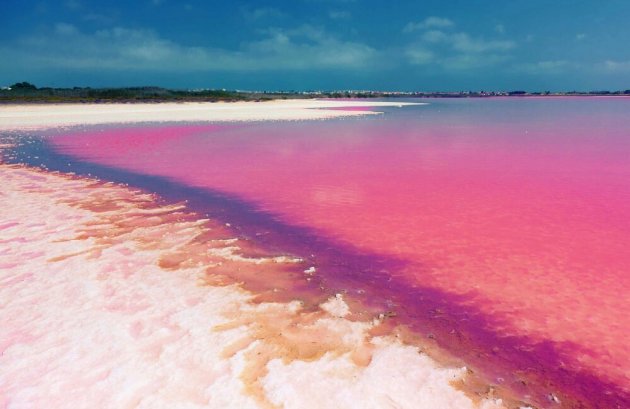 Nieuwbouw - Villa -
Orihuela