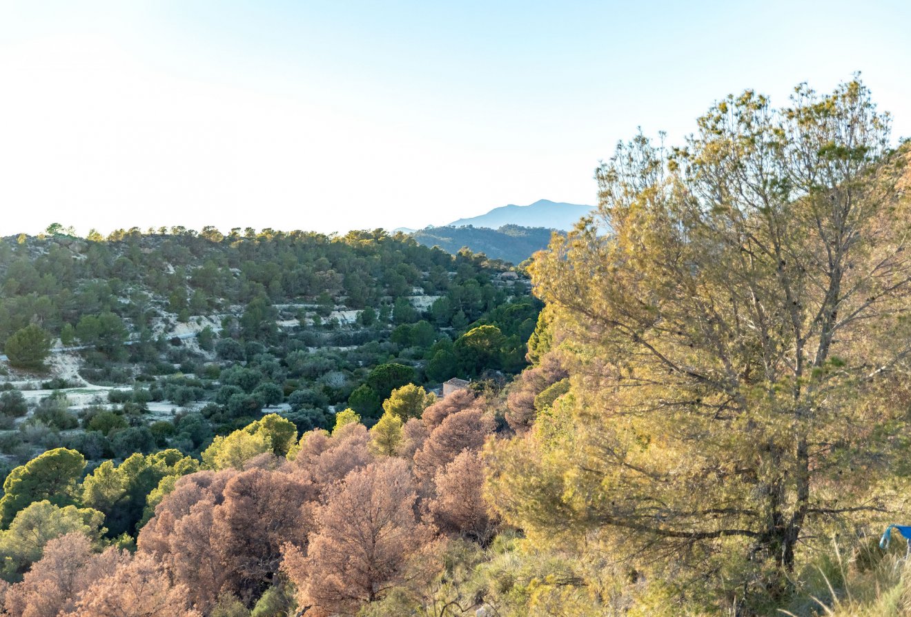 Nieuwbouw  - Appartement -
Finestrat