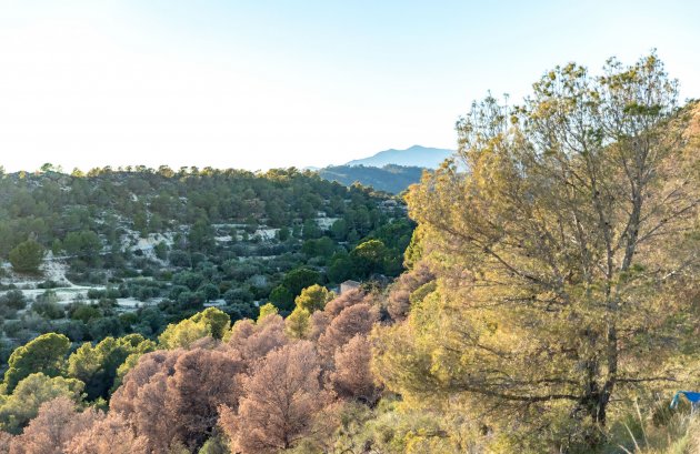 Nieuwbouw  - Appartement -
Finestrat