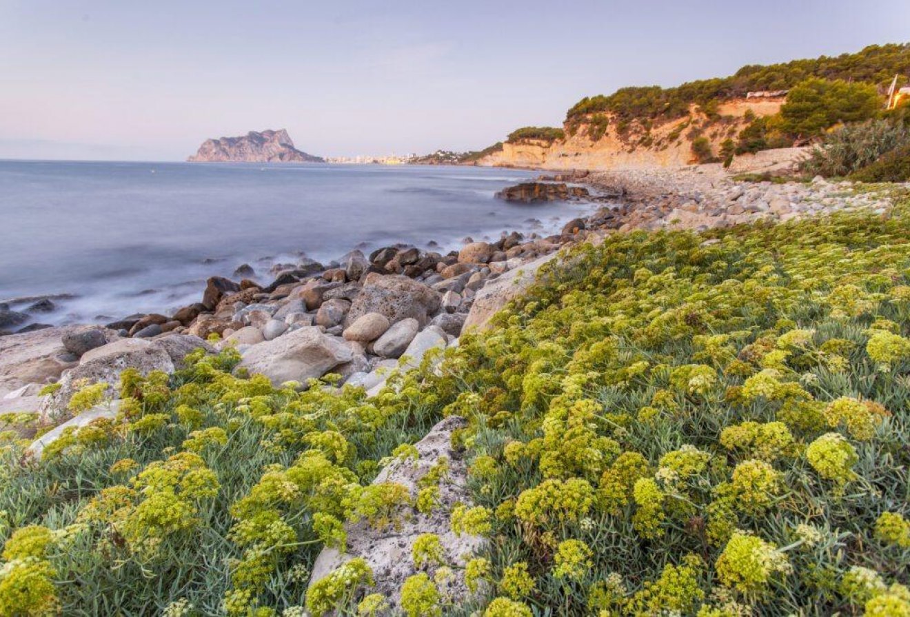 Nieuwbouw  - Villa -
Benissa - Racó Del Galeno