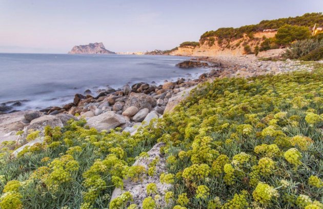 Nieuwbouw  - Villa -
Benissa - Racó Del Galeno