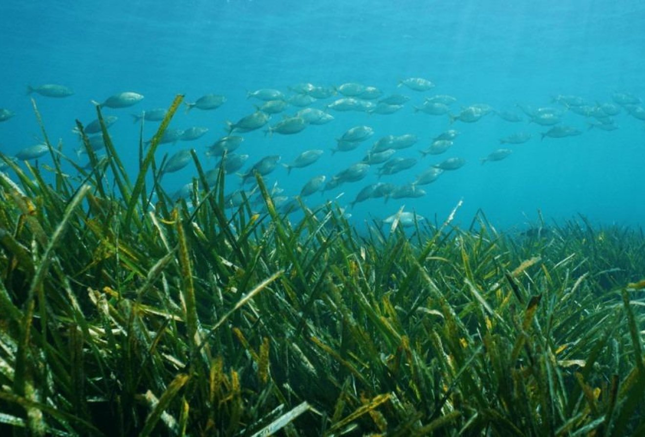 Nieuwbouw  - Villa -
Benissa - Racó Del Galeno