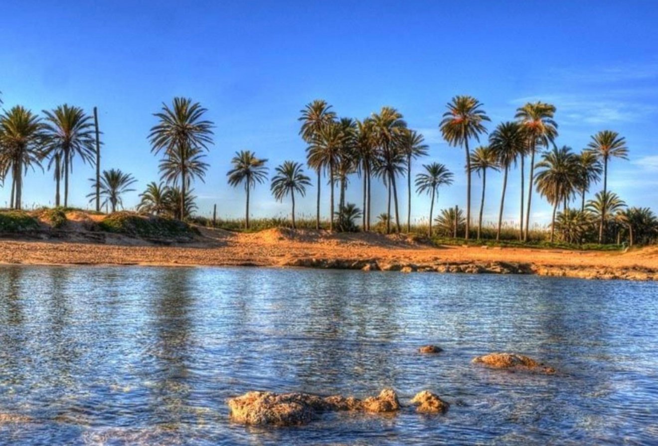 Nieuwbouw  - Penthouse -
Torrevieja - Playa de El Cura