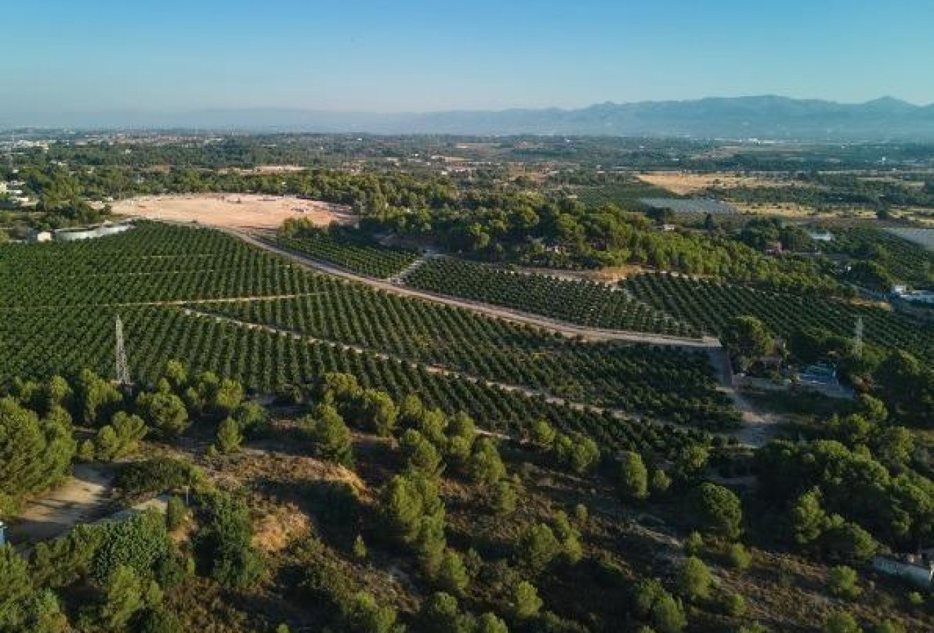 Nieuwbouw  - Penthouse -
Godella - Campolivar