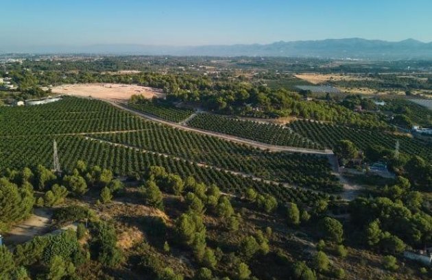Nieuwbouw  - Penthouse -
Godella - Campolivar