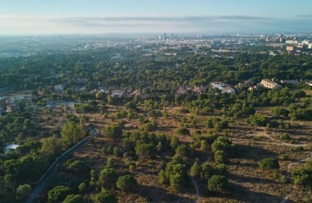 Nieuwbouw  - Appartement -
Godella - Campolivar