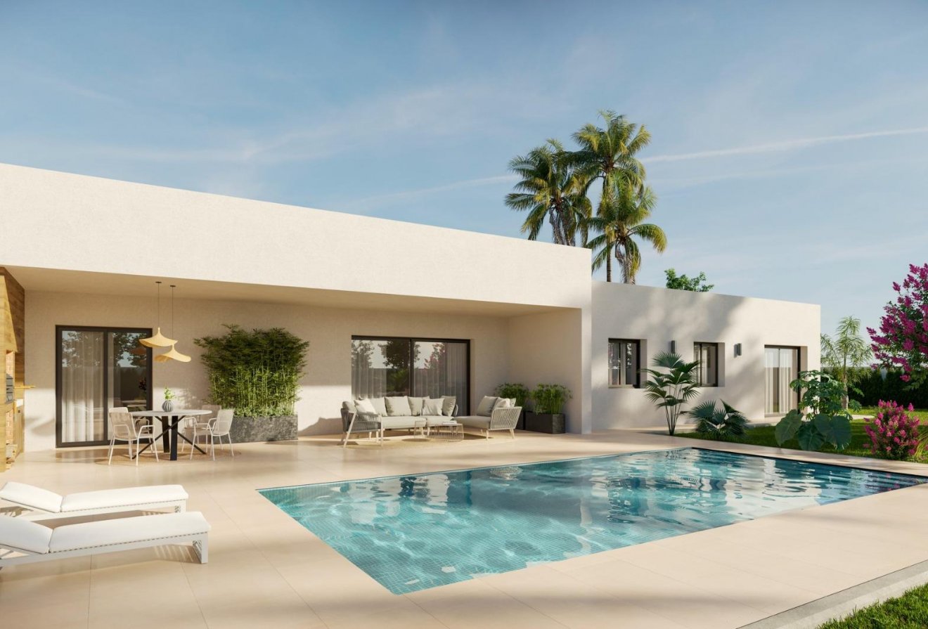 New Build - Villa -
Aspe