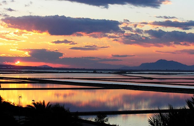 Nieuwbouw  - Appartement -
Alicante - Alicante (Alacant)