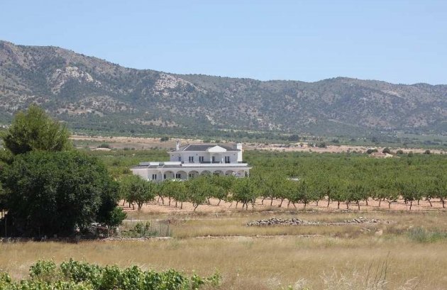 Nieuwbouw  - Villa -
Pinoso