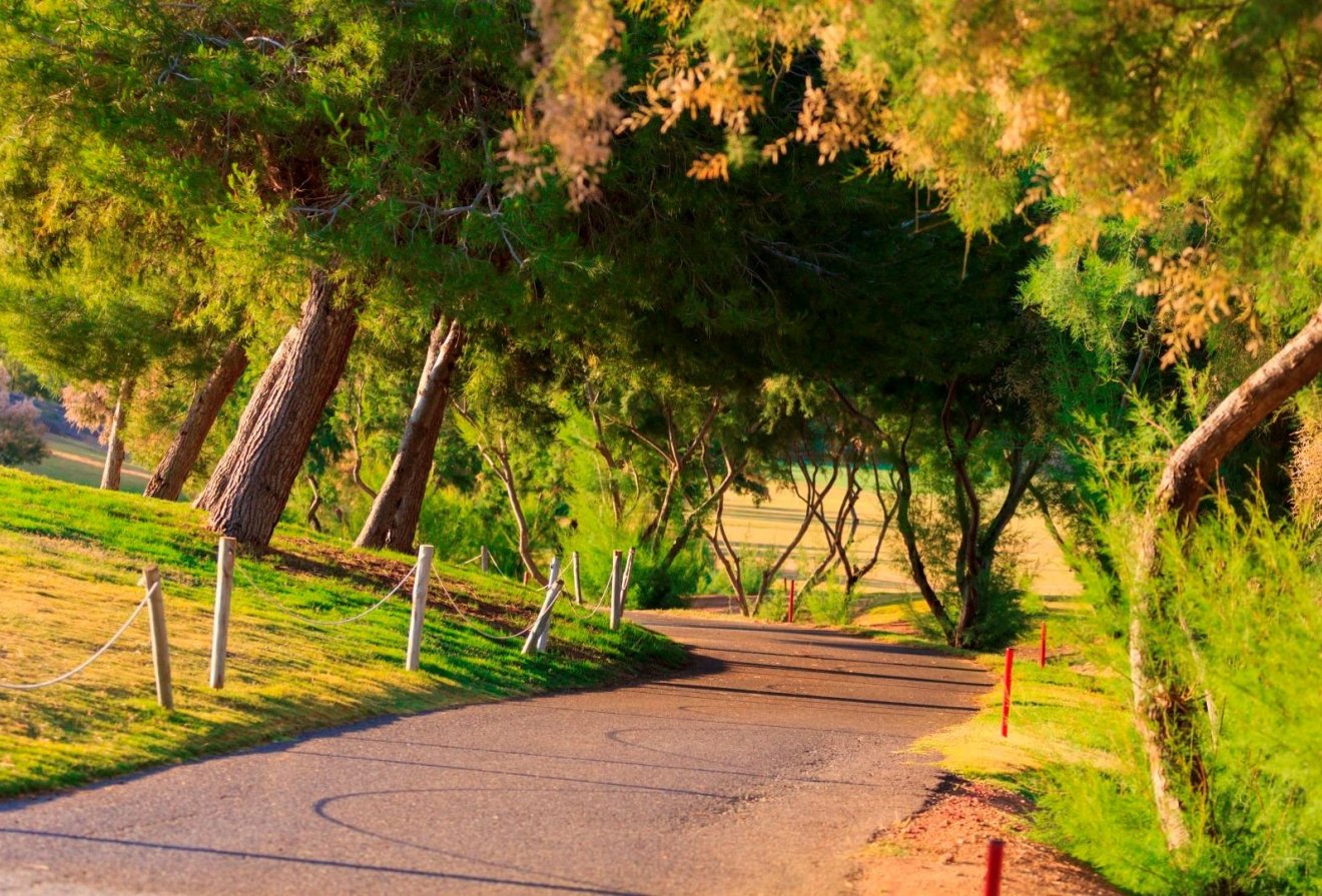 Nieuwbouw  - Villa -
Pilar de la Horadada - Lo Romero Golf