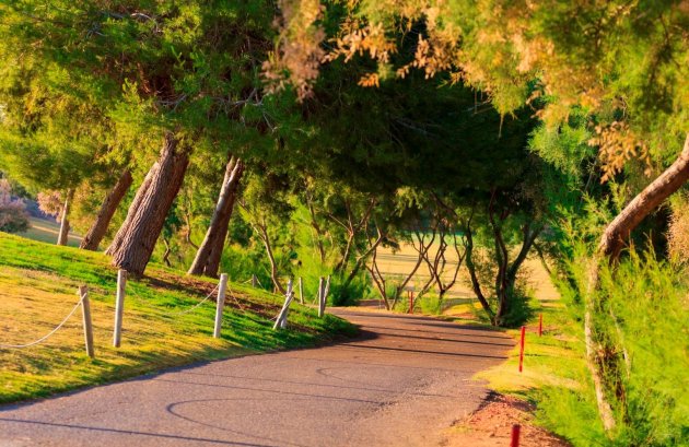 Nieuwbouw  - Villa -
Pilar de la Horadada - Lo Romero Golf