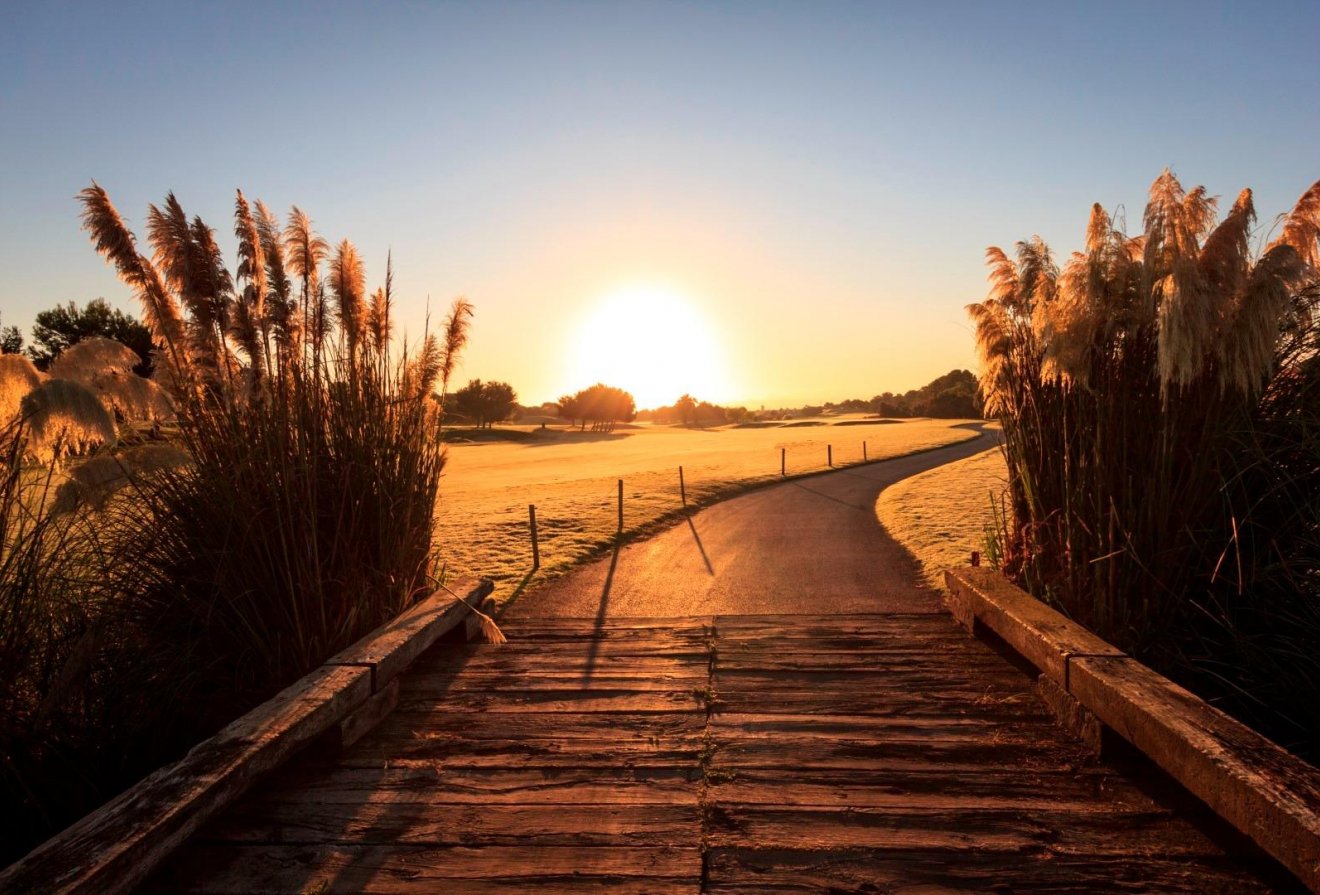 Nieuwbouw  - Villa -
Pilar de la Horadada - Lo Romero Golf