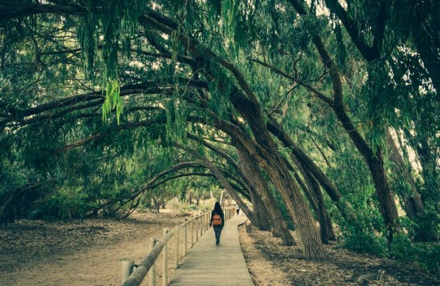 Nieuwbouw  - Villa -
Montesinos - Los Montesinos