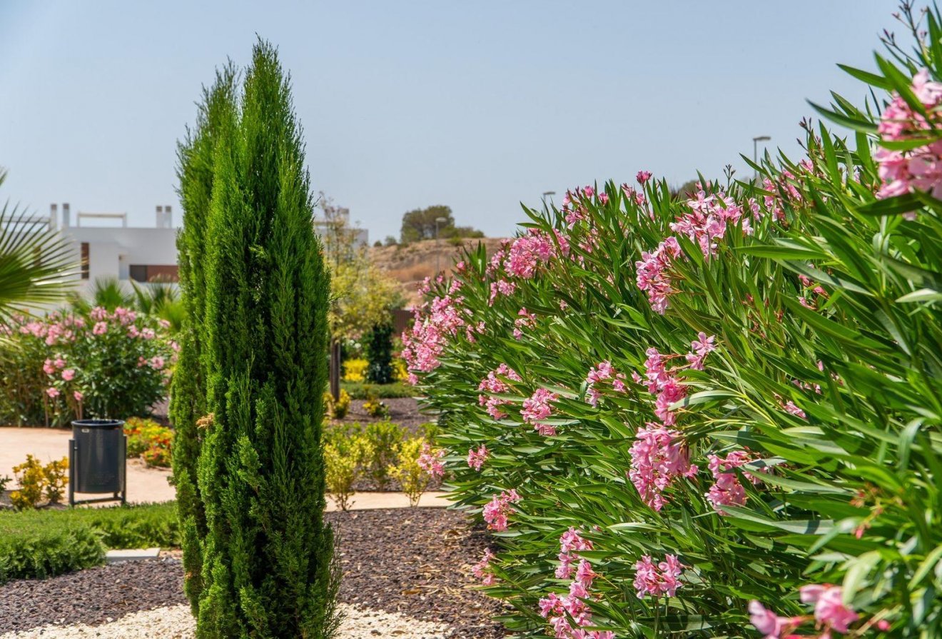 Nieuwbouw  - Villa -
Orihuela - Vistabella Golf