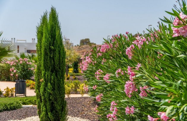 Nieuwbouw  - Appartement -
Orihuela - Vistabella Golf