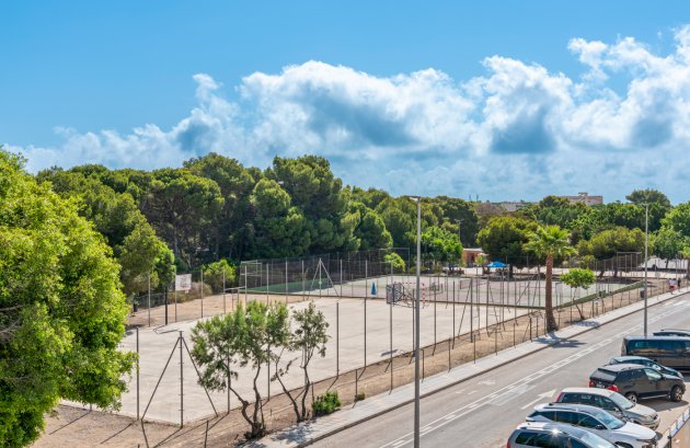 Nieuwbouw  - Villa -
Pilar de la Horadada