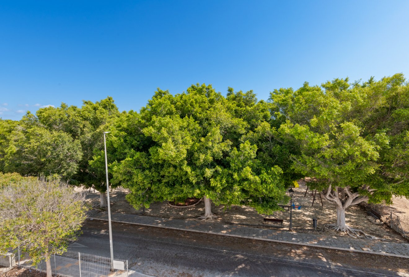 Nieuwbouw  - Villa -
Pilar de la Horadada