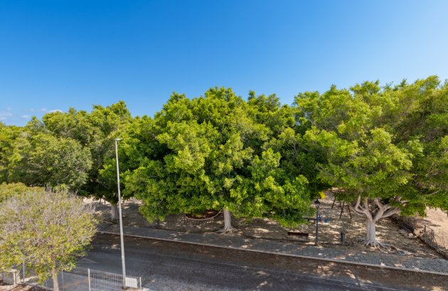 Nieuwbouw  - Villa -
Pilar de la Horadada