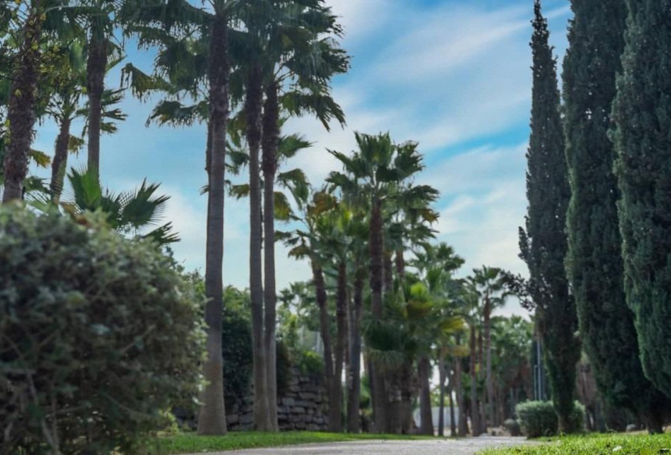 Nieuwbouw  - Penthouse -
Fuengirola - Higueron