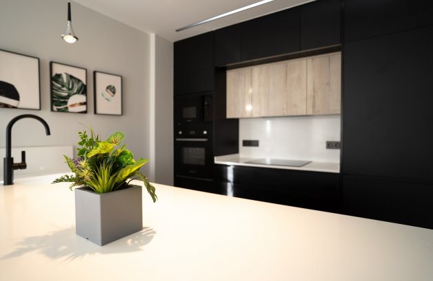 Nieuwbouw - Appartement -
Pilar de la Horadada