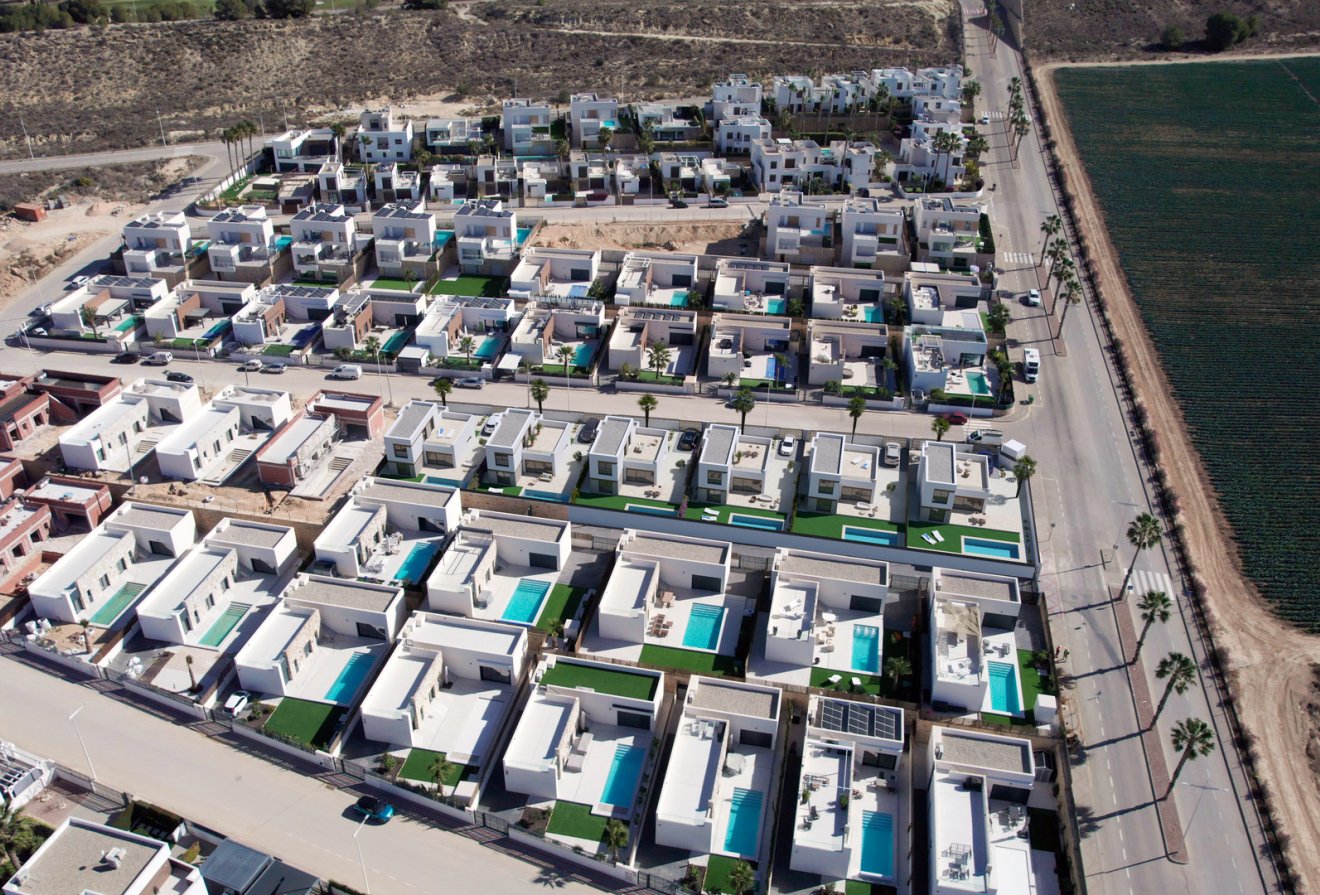 Nieuwbouw  - Villa -
Algorfa