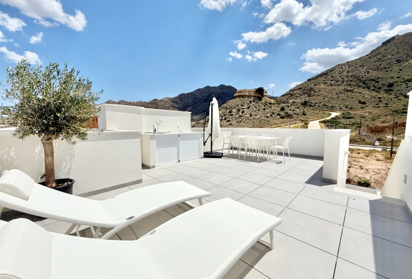 Nieuwbouw  - Appartement -
Cox