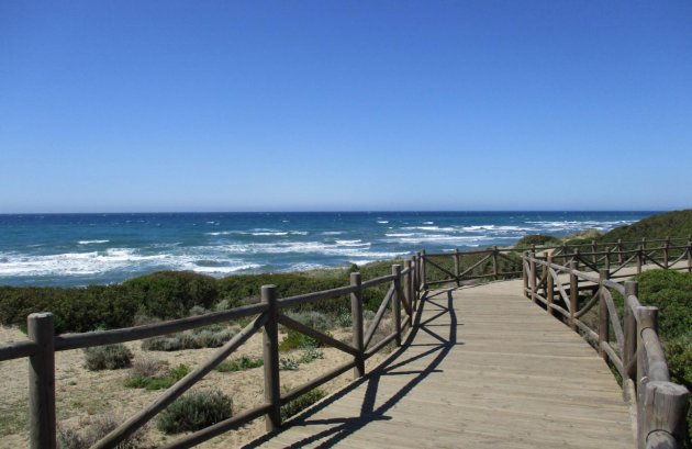 Nieuwbouw  - Appartement -
Marbella - Cabopino Golf