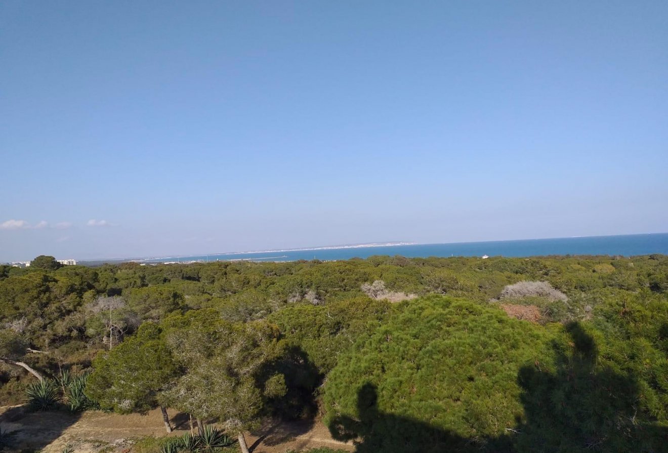 Nieuwbouw  - Appartement -
Guardamar del Segura - Pueblo