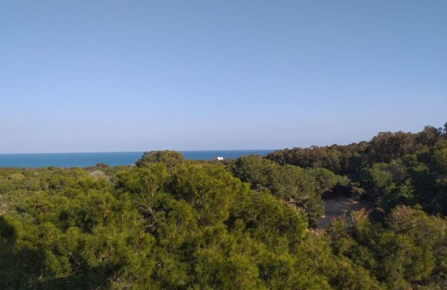 Nieuwbouw  - Appartement -
Guardamar del Segura - Pueblo