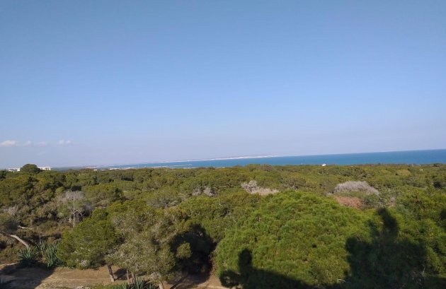 Nieuwbouw  - Appartement -
Guardamar del Segura - Pueblo