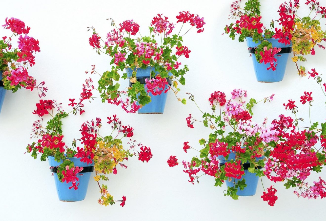 Nieuwbouw  - Appartement -
Mijas - La Noria Golf