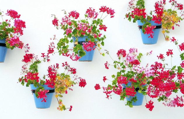 Nieuwbouw  - Appartement -
Mijas - La Noria Golf