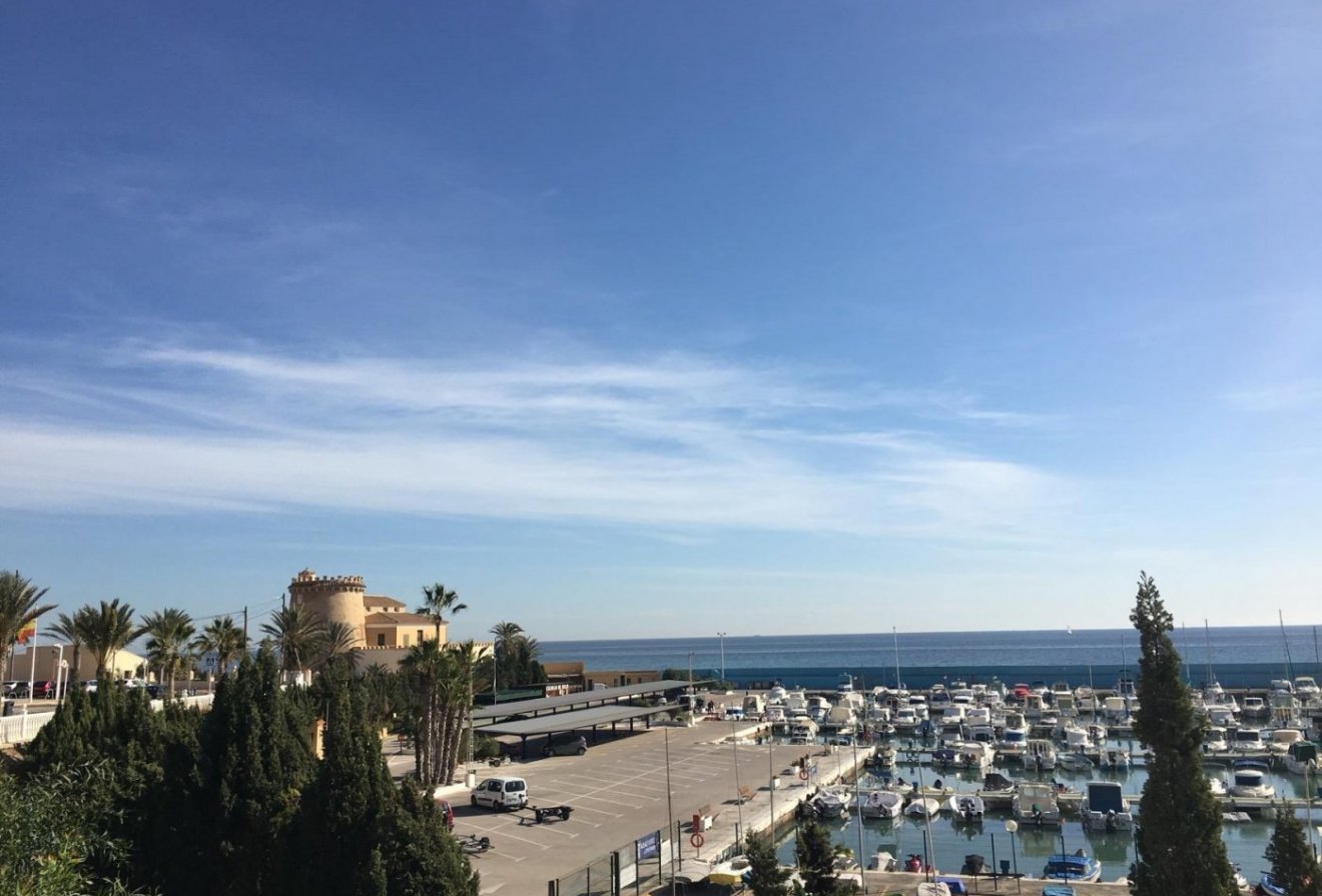 New Build - Villa -
Pilar de la Horadada - Las Higuericas