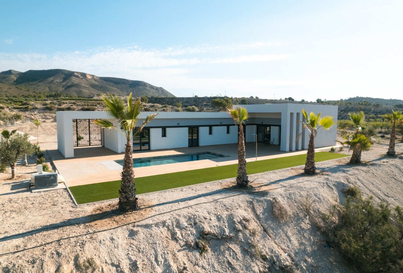 Nieuwbouw - Villa -
Pinoso