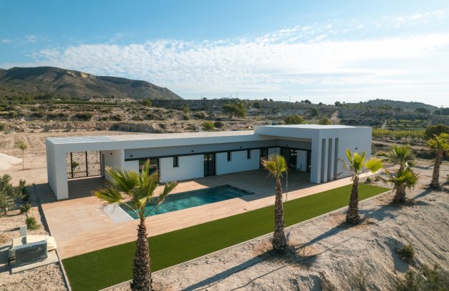 Nieuwbouw - Villa -
Pinoso