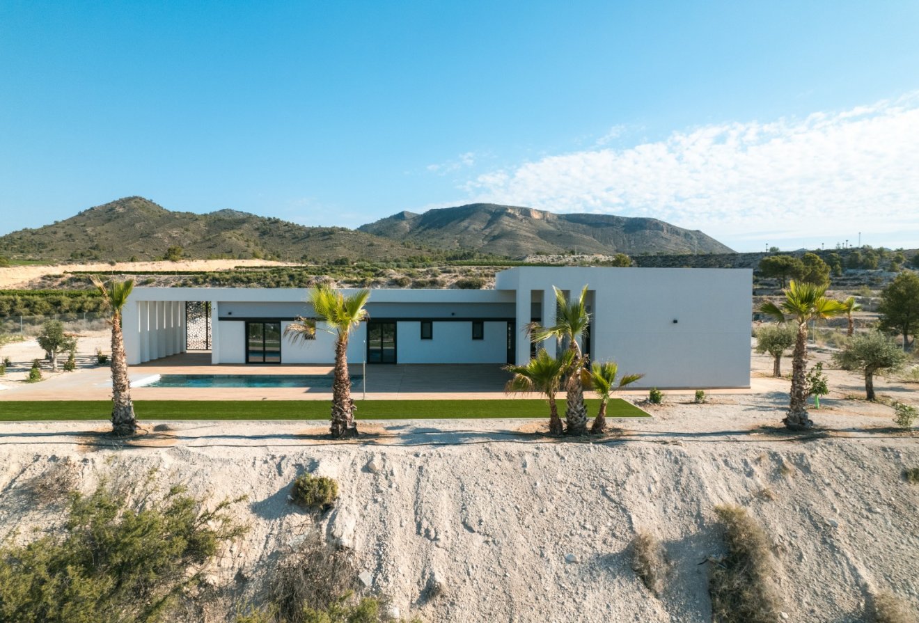 Nieuwbouw - Villa -
Pinoso