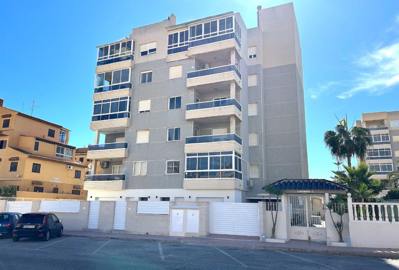 Nieuwbouw - Appartement -
Torrevieja