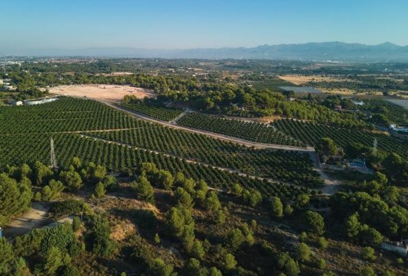 Nieuwbouw  - Villa -
Godella - Campolivar