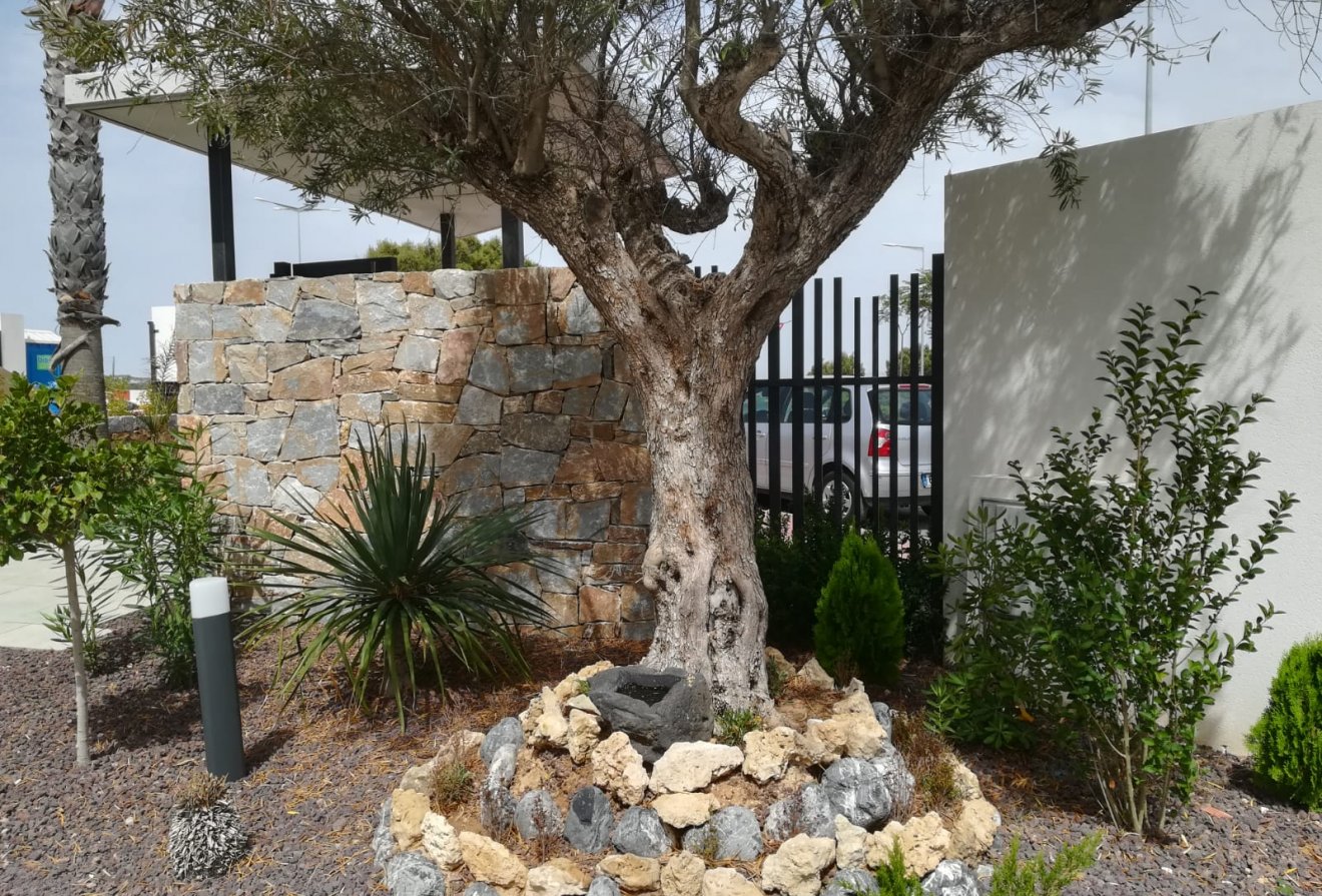 Nieuwbouw  - Appartement -
Torrevieja