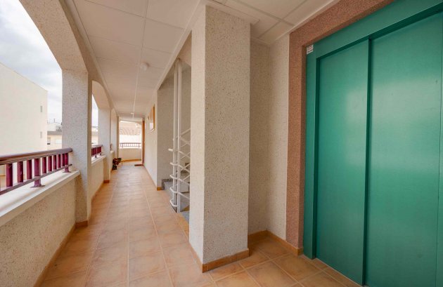 New Build - Apartment / flat -
San Fulgencio