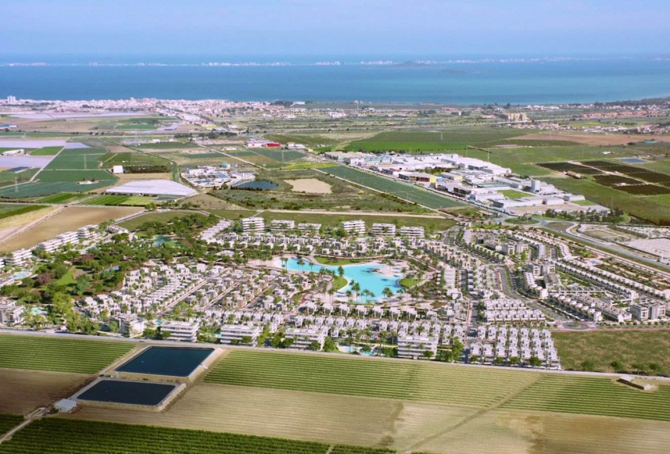 Nieuwbouw  - Appartement -
Santa Rosalía