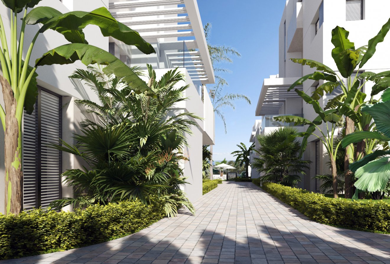 Nieuwbouw  - Appartement -
Santa Rosalía
